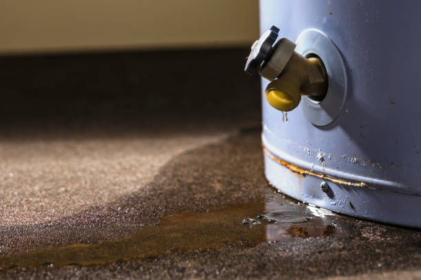 Best Residential water damage restoration  in Pamplico, SC