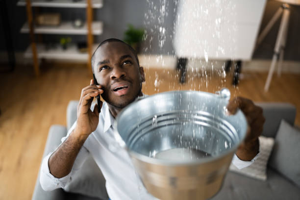 Carpet water damage restoration in Pamplico, SC
