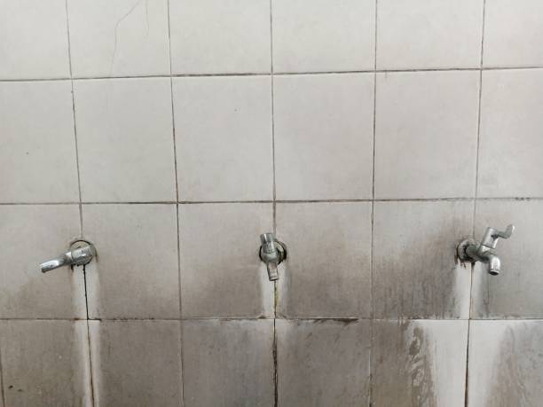  Pamplico, SC Water damage restoration Pros