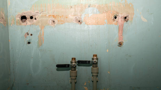 Best Water damage restoration specialists  in Pamplico, SC