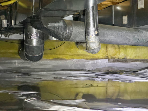 Best Water damage restoration mold remediation  in Pamplico, SC