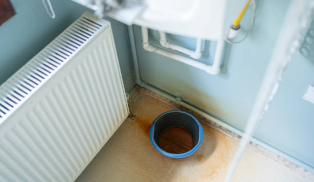 Best Flood damage cleanup  in Pamplico, SC