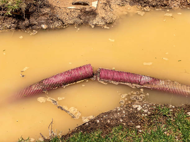 Best Residential water damage restoration  in Pamplico, SC