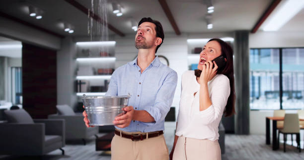 Best Ceiling water damage repair  in Pamplico, SC