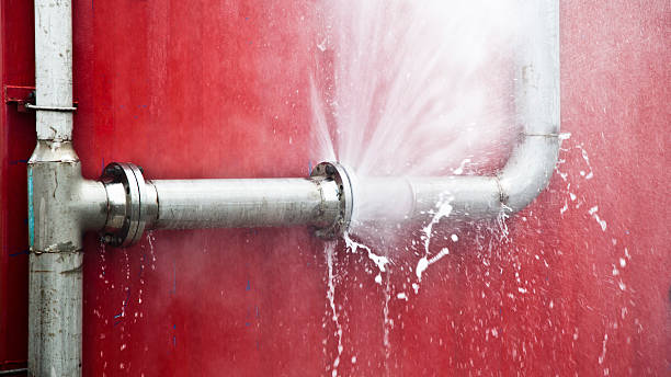 Reliable Pamplico, SC Water damage restoration Solutions