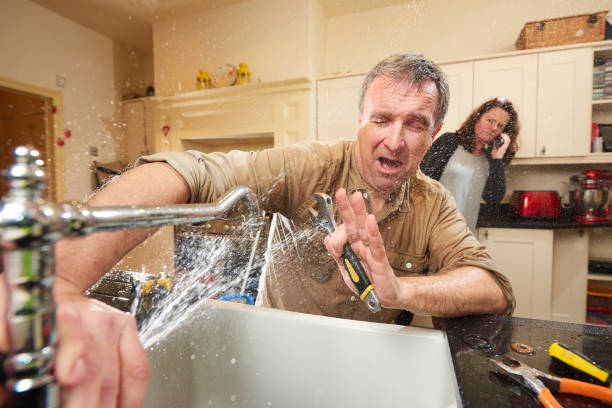 Best Mold removal after water damage  in Pamplico, SC